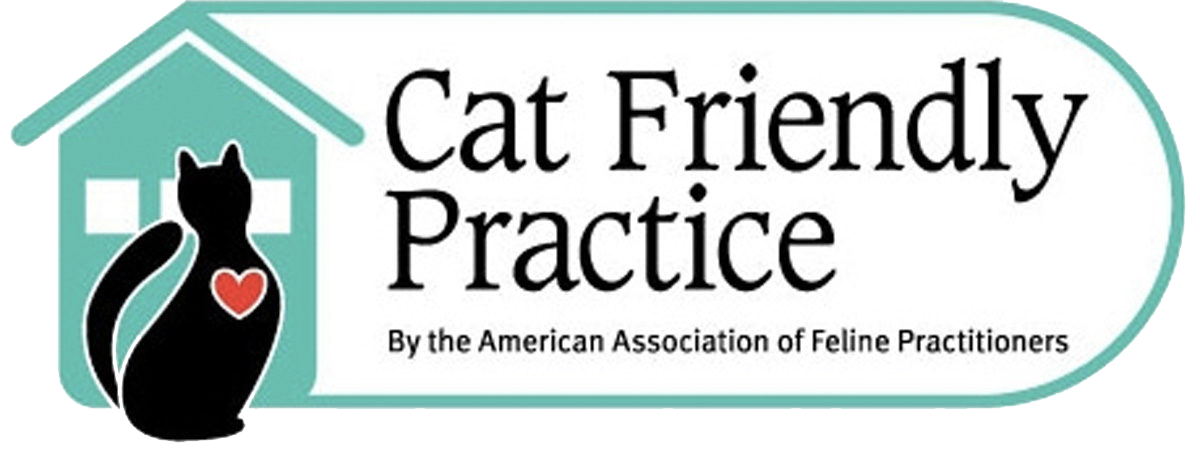 certification of being a cat friendly practice