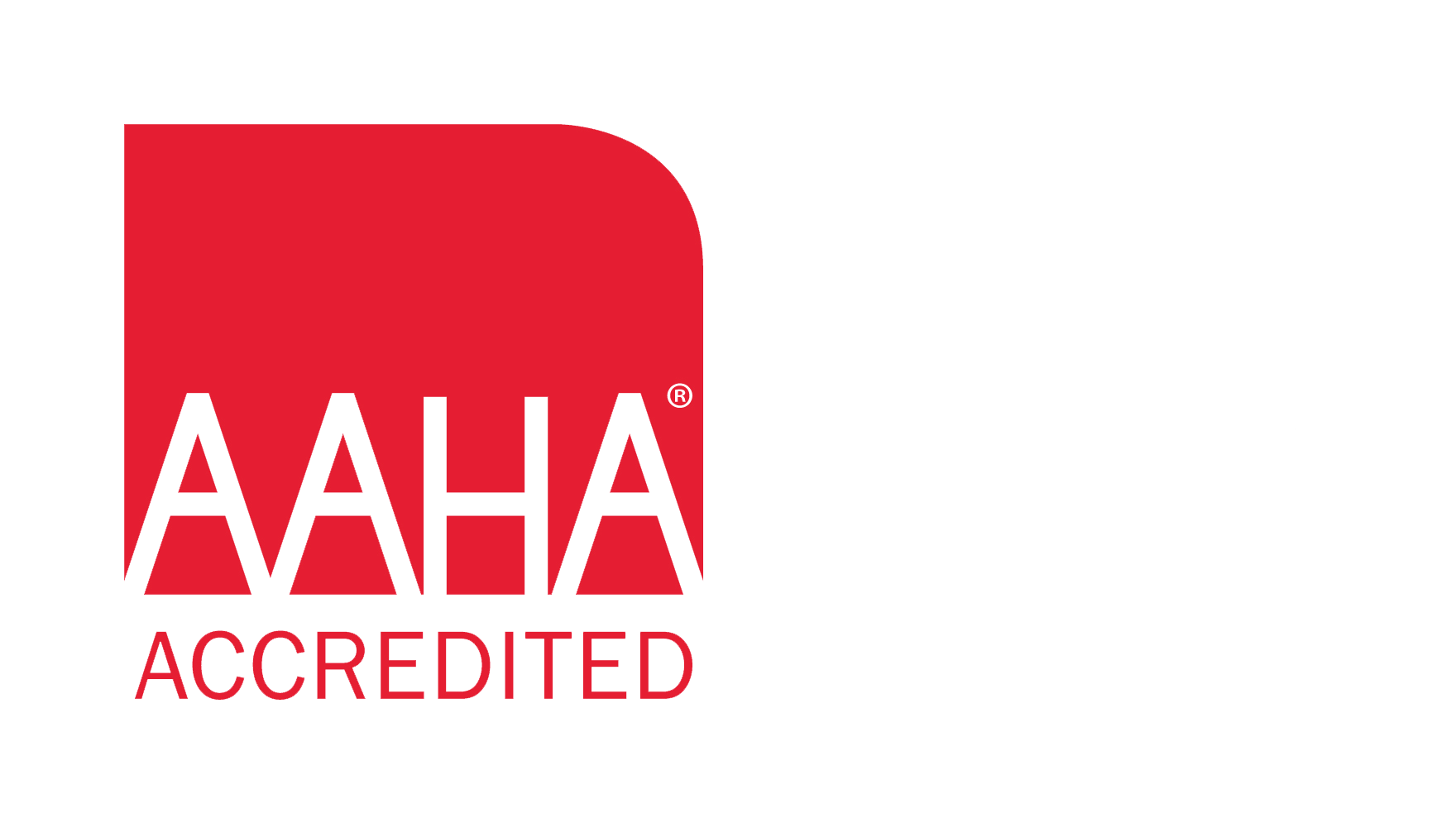Certification badge for being AAHA accredited