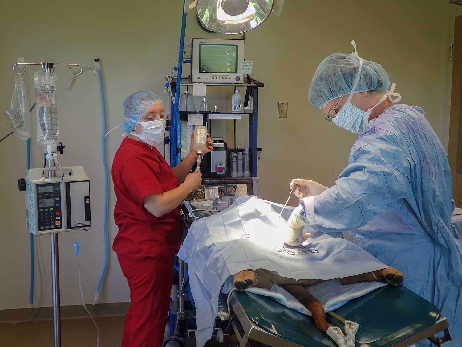 LP-2019-07-23-7230007-Lisa-surgery LP-2019-07-23-7230007-Lisa-surgery