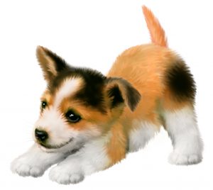 puppy-play-left-facing puppy-play-left-facing