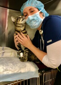 masked veterinarian holding a recovering cat