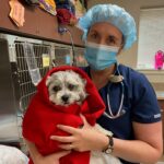 veterinarian in scrubs holding dog wrapped in blanket