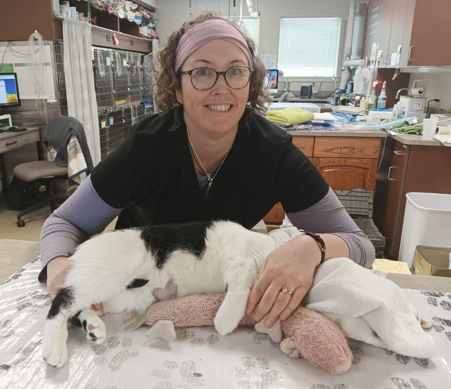 A veterinarian smiling while holding a black and white cat on exam table